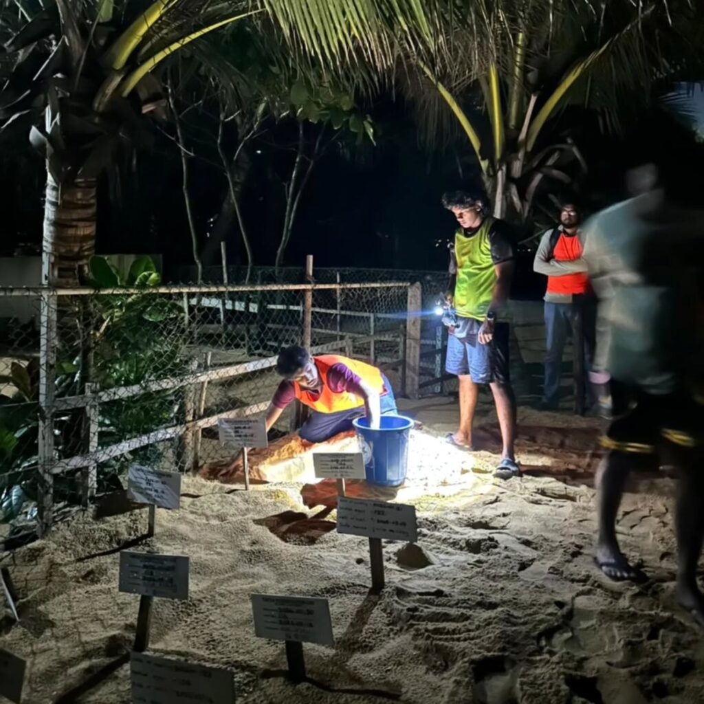 Instagram post from pearlprotectors. This post is in position 8.