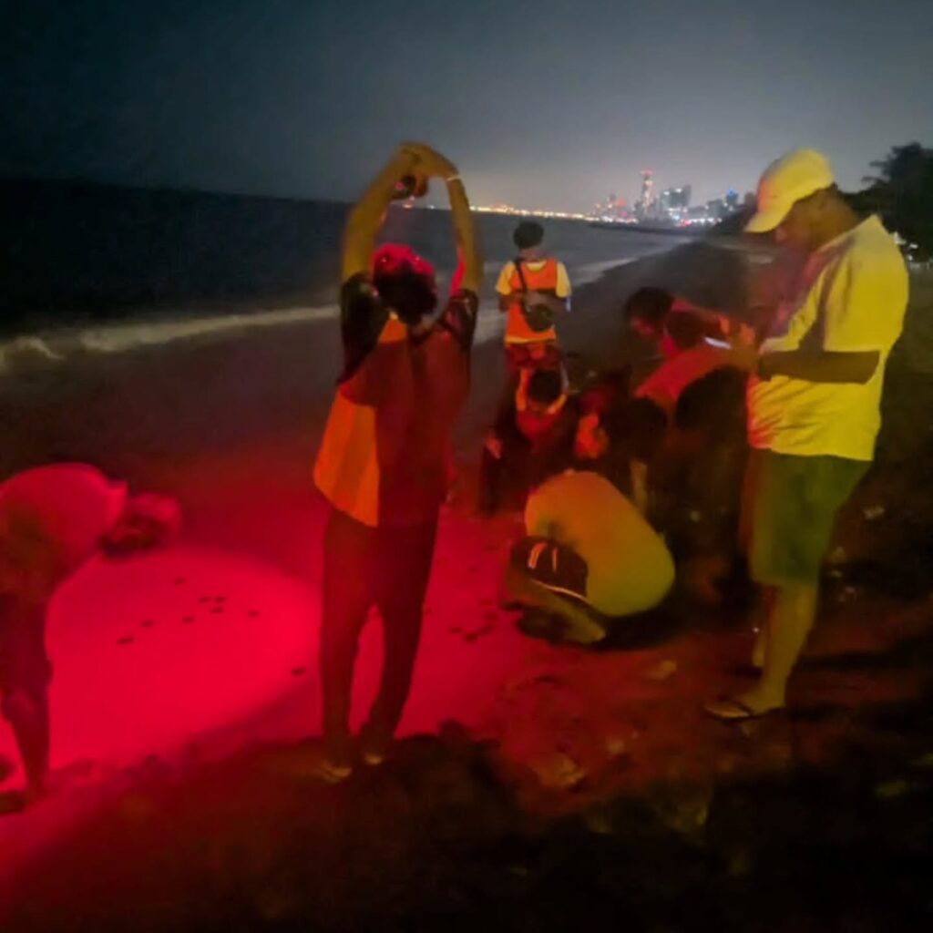 Instagram post from pearlprotectors. This post is in position 4.