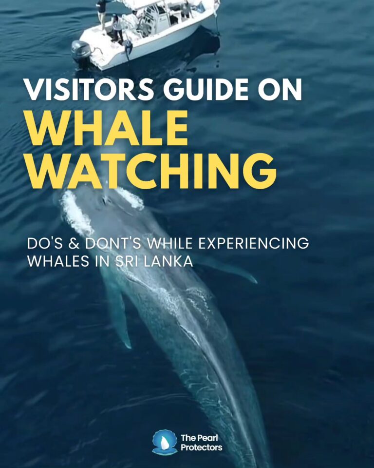 Instagram post from pearlprotectors. This post is in position 7.