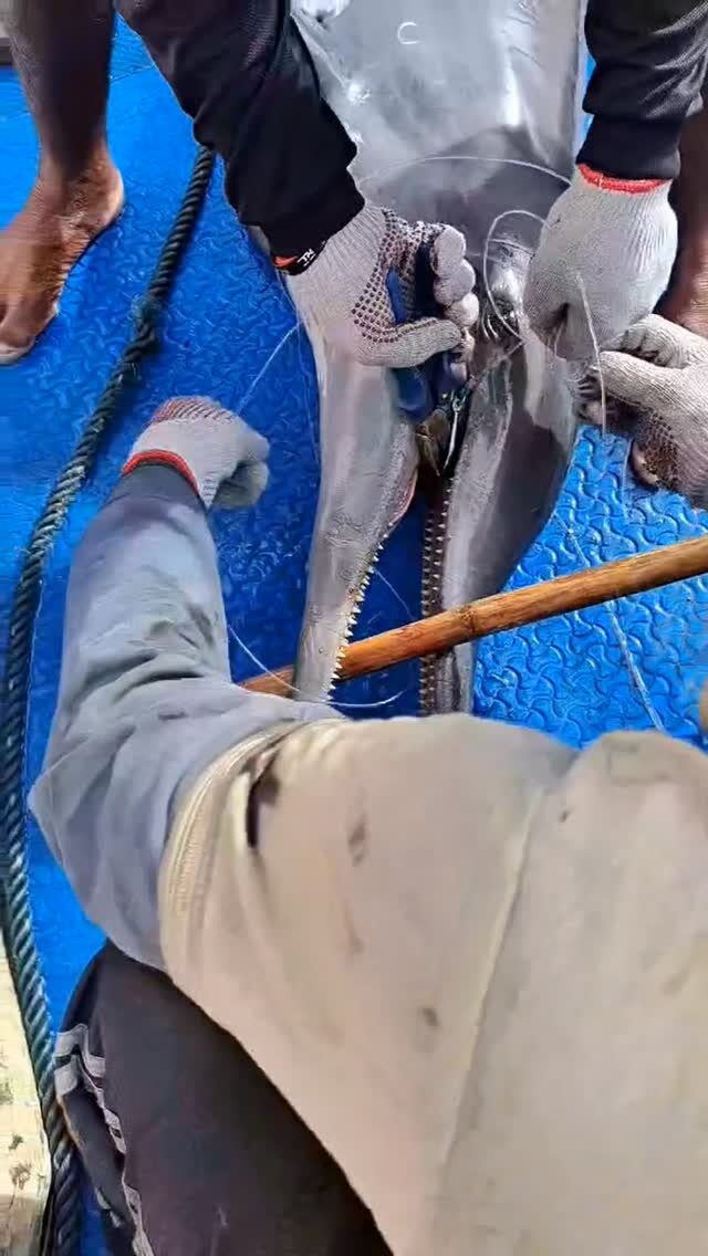 Instagram post from pearlprotectors. This post is in position 9.